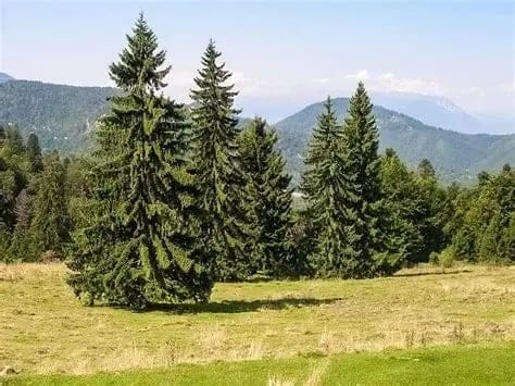 Foto: Almakos