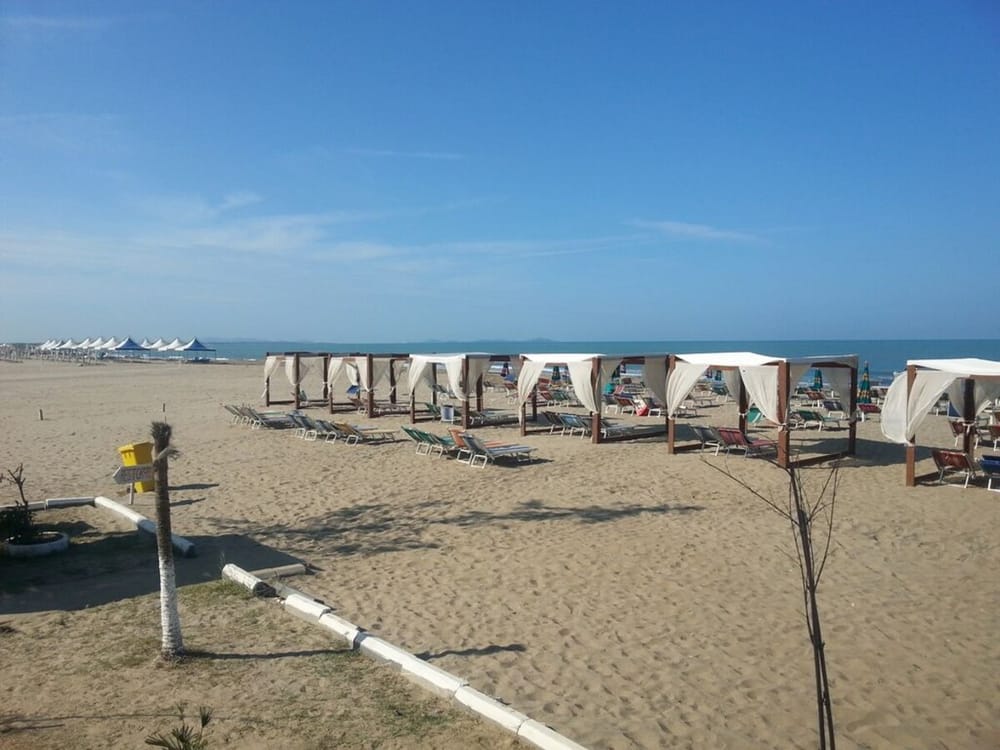 Delfinët vallëzojnë në Gjirin e Vlorës