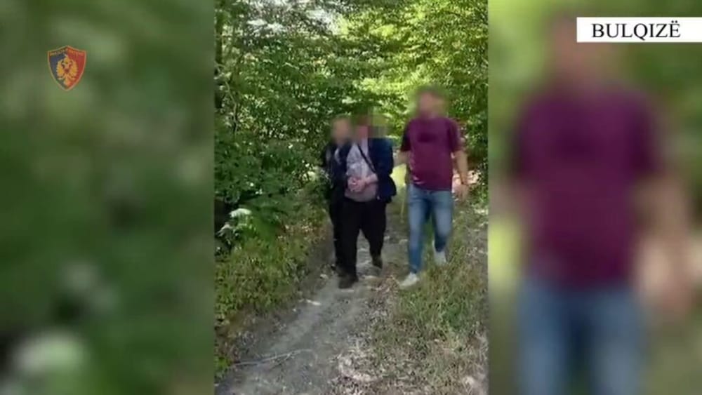 Arrestohet 37-vjeçari në Bulqizë, sekuestrohen 215 bimë kanabisi