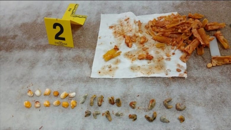 Pamjet e reja: kokaina si guaska dhe kanabisi si karkaleca në makaronat e burgut 313