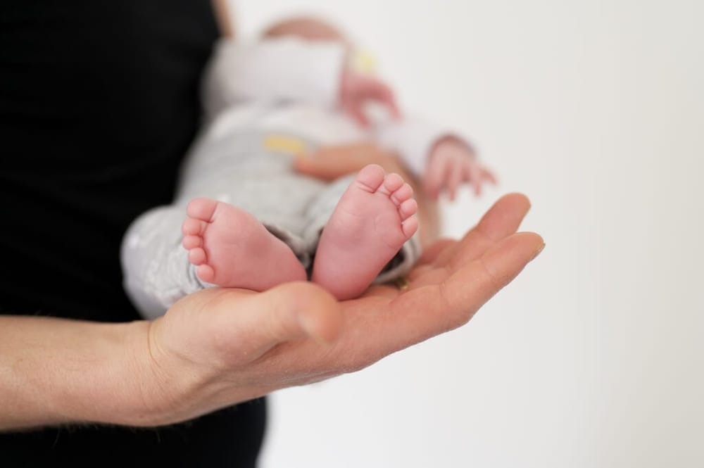 Kostot e larta zhvendosin lindjet nga Tirana, bien 5.5% në janar-qershor
