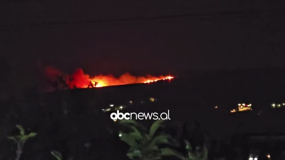 Zjarri në Shashicë, era e fortë favorizon përhapjen e flakëve