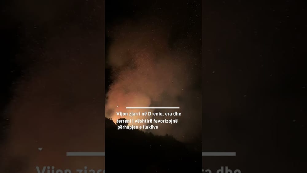 Zjarri vijon në Drenie, forcat në terren luftojnë flakët