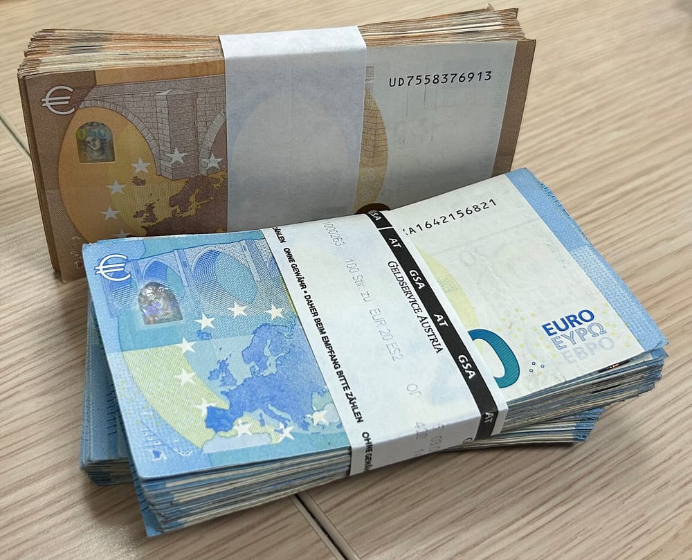 Mitrovica lidh kontratë 3-vjeçare për qentë endacakë — pranohet vetëm një ofertë