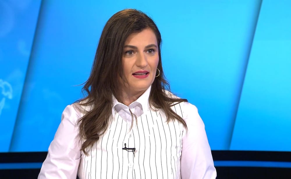 PLD kërkon nga Qeveria distancim nga glorifikimi i Ratko Mlladiqit