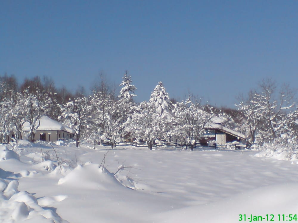 Petrovo Selo, komuna e Kladovës — backo57