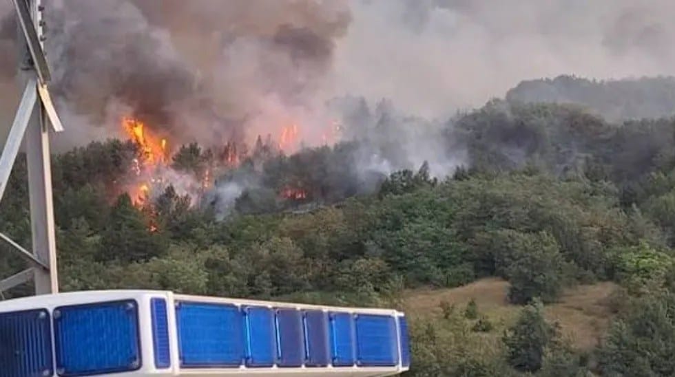 Shtatë zjarre mbeten aktive ndërsa 24 raste raportohen në një ditë