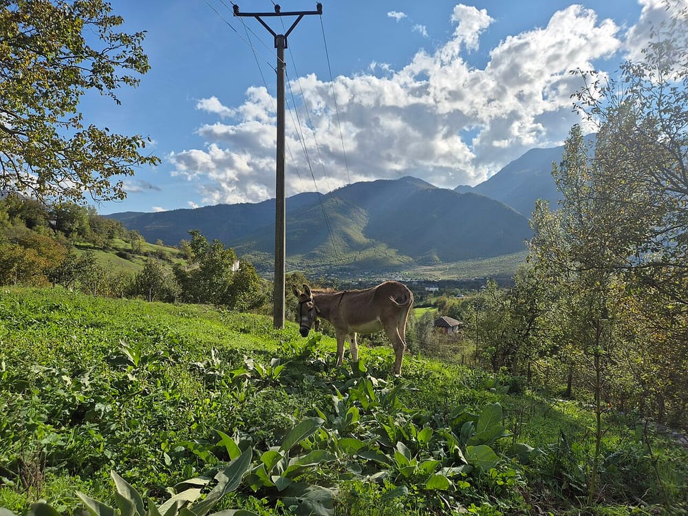 Zjarr në Bulqizë: dy banesa rrezikohen