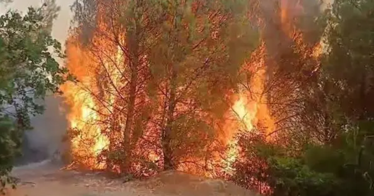 Zjarret në Shqipëri: 5 vatra aktive, riaktivizohet flaka në Librazhd