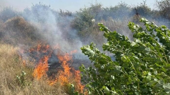 Gjashtë zjarre aktive dhe 31 të shuara në Maqedoninë e Veriut