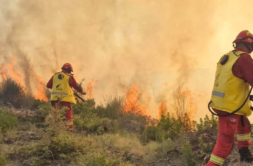 12 vatra aktive nga 45 zjarre në 24 orë, angazhohen forcat e armatosura