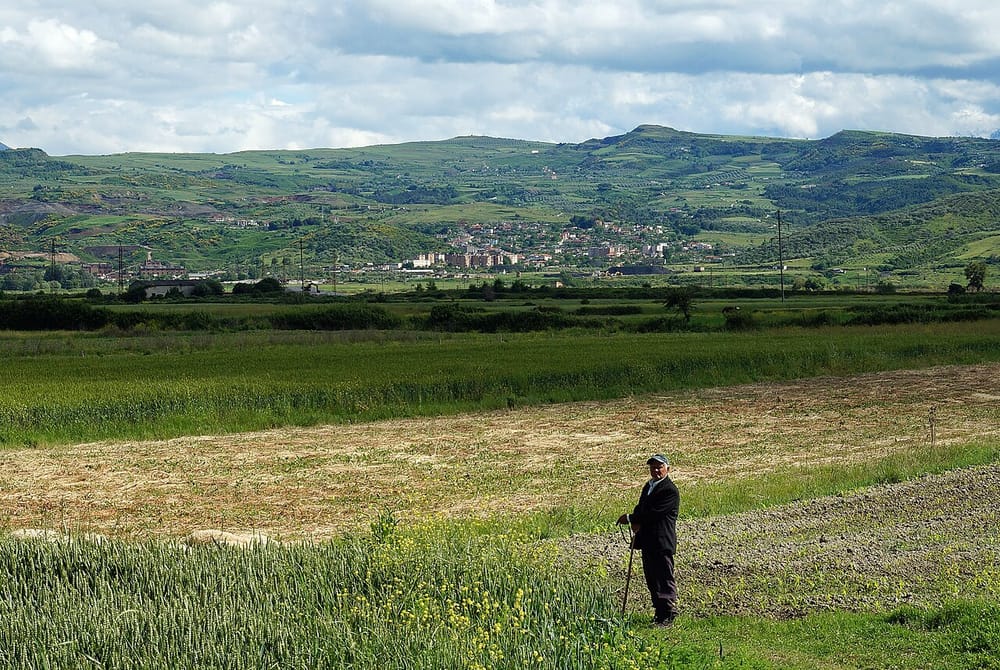 Zjarri djeg dhjetëra makina në një pikë grumbullimi në Penkovë