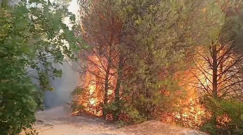 35 vatra zjarri në 24 orë, 8 mbeten aktive në vend