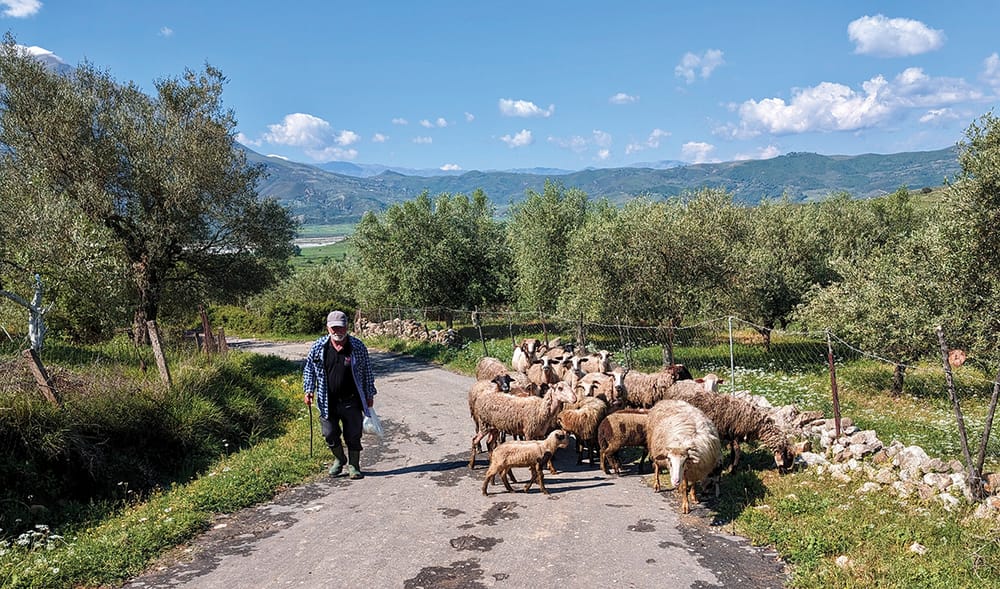 Blegtorët kërkojnë heqjen e aksizës dhe rialokimin e fondev, minacësojnë me proteste
