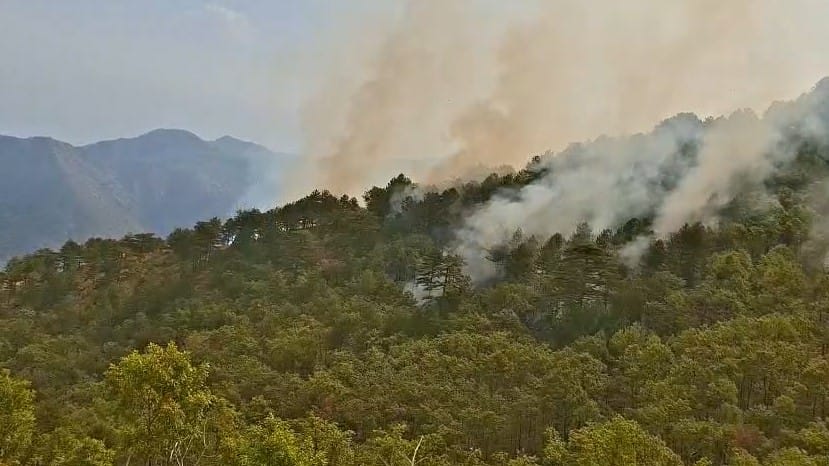 Zjarret në Shqipëri: 4 vatra aktive dhe 3 helikopterë në terren