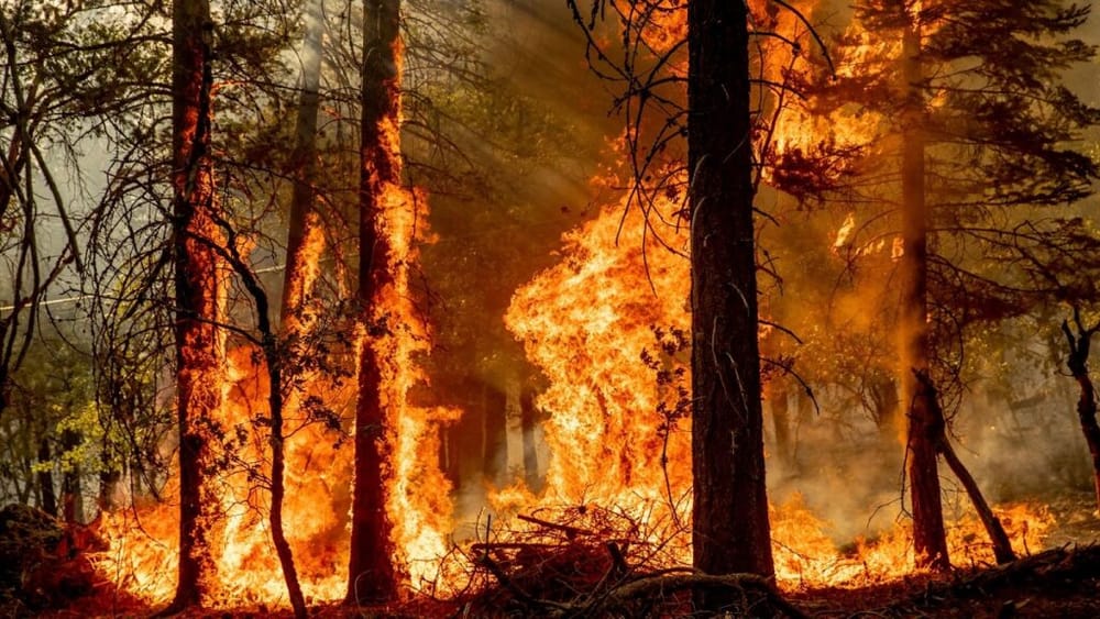 42 zjarre në hapësira të hapura: 5 aktive dhe 32 të shuara