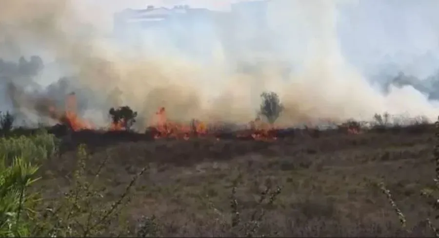 Zjarr në Babicë, flakët rrezikojnë një banesë dhe ullinj