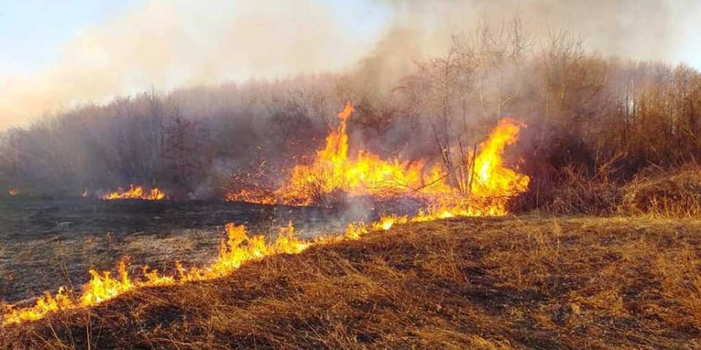 138 zjarre pyjore në vend, dëmet vlerësohen mbi 4 milionë euro