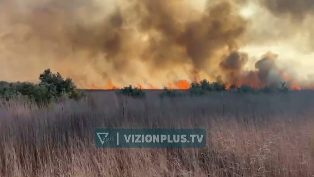 Katër vatra zjarri në pyllin e Semanit, era shpejton flakët