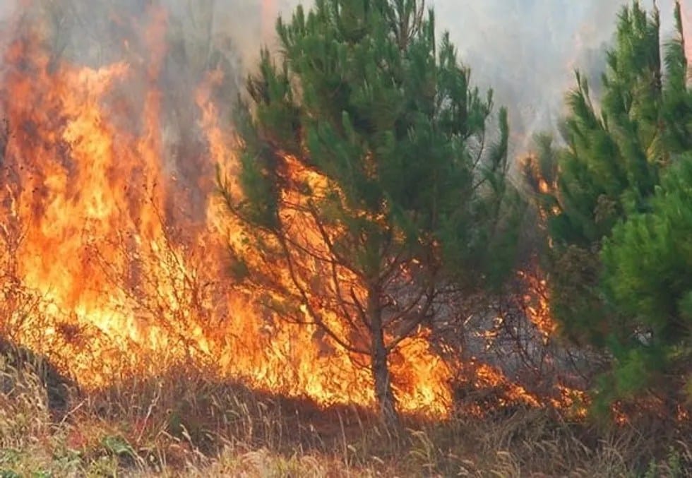 Qendra për Menaxhim me Kriza raporton dhjetëra zjarre në hapësira të hapura