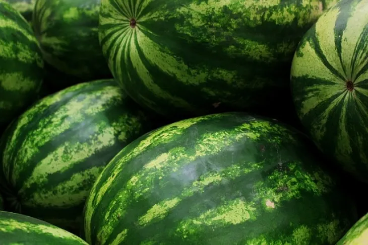 Maqedonia e Veriut importon shalqinj pavarësisht prodhimit vendor