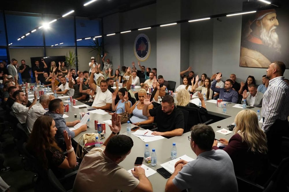 Aleanca në Prishtinë zgjedh Kryesinë e re dhe konsolidon strukturat