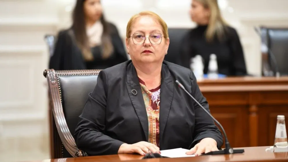 Janevska: Nataliteti ndikon te nxënësit