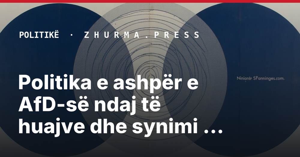 Politika e ashpër e AfD-së ndaj të huajve dhe synimi për remigracion