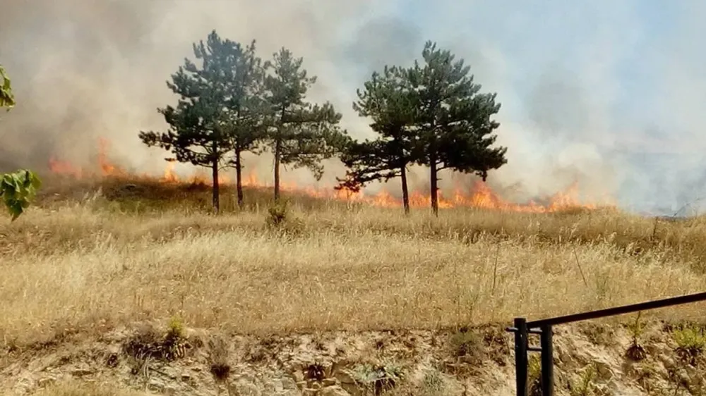 Gjithsej 12 zjarre të regjistruara, 11 të shuar dhe një nën kontroll
