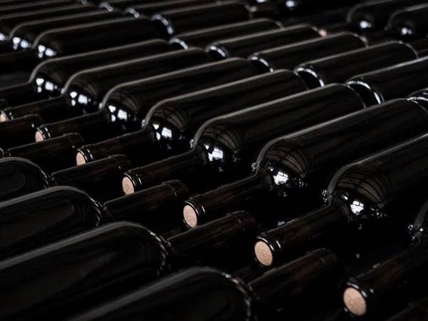 Grabiten 30 mijë shishe verë me vlerë 5 milionë euro në Itali
