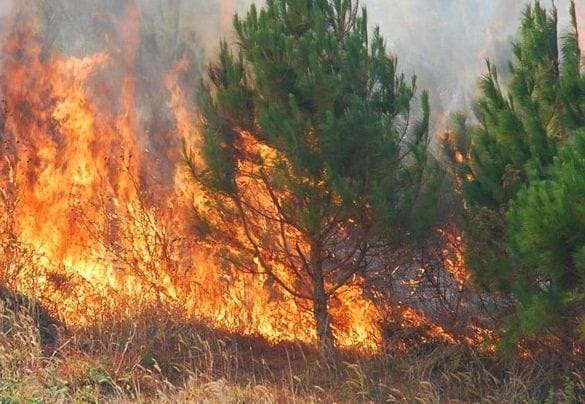 Foto: telegrafi.com