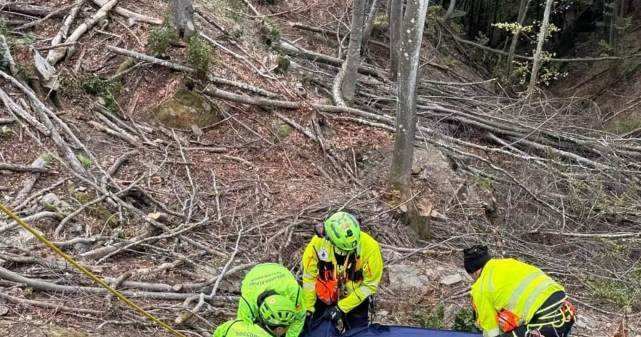 Aksident fatal gjatë punës në pyll për 35-vjeçarin shqiptar në Itali