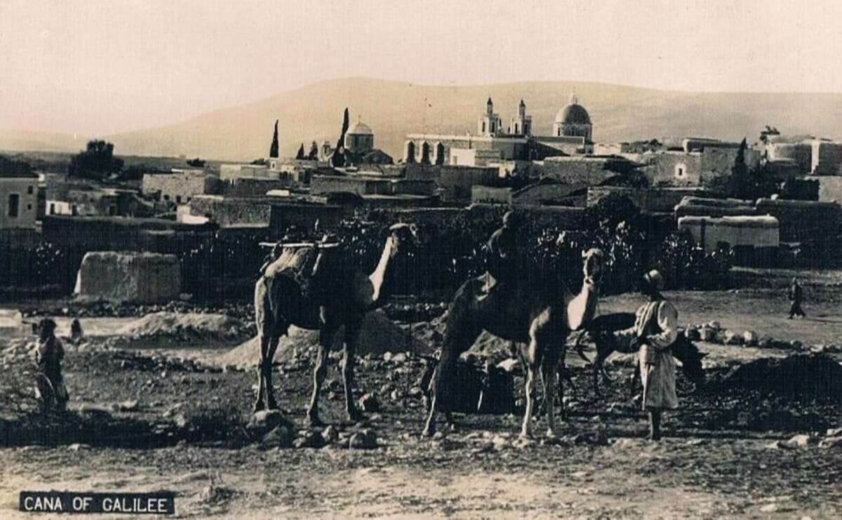 Çfarë rrezikon ethet e Nilit Perëndimor?