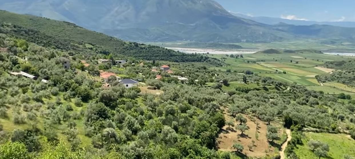 Si mbijetojnë të moshuarit në Çorrush me bimët medicinale?