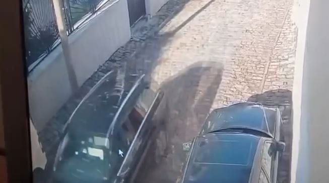 Shtypi qenin me qëllim në Korçë: shoferi shpallet në kërkim