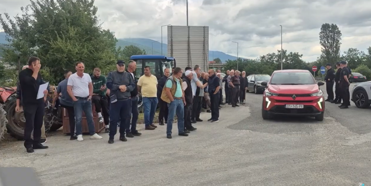 Pse po protestojnë banorët e Reçicës së Madhe në Tetovë?