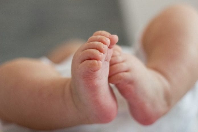 Lindjet në Maqedoni bien me 1.3% në 2025