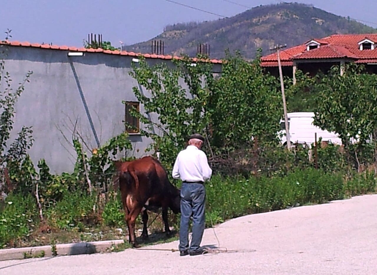 Çfarë transformimi po ndodh në Ujërat Termale të Bënjës?