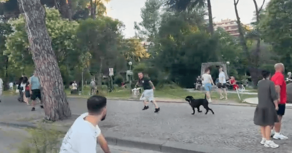 Pse agravoi incidenti mes protestuesve dhe një të riu me pitbull në Tiranë?