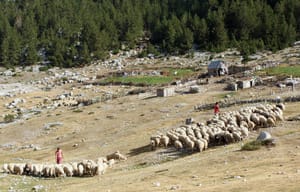 Stanet e Dobraçit, Shkodër — Albinfo