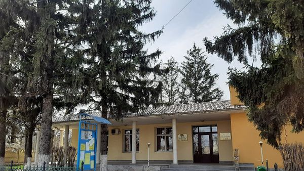 Kush u rizgjodh kryetar i Federatës 'Vatra'?