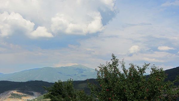 Çfarë i ndodhi 22-vjeçarës nga Gostivari që denoncoi partnerin për dhunë?