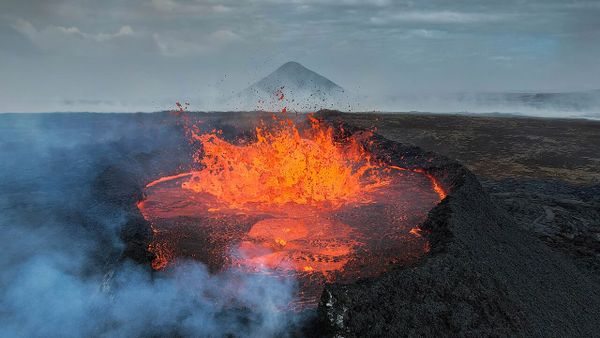 Si ndërtuan dy vëllezërit nga Kosova tre piceri të suksesshme në Islandë?