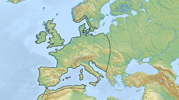 Haplogrupi J2b-L283 — bronzi i paraardhësve tanë