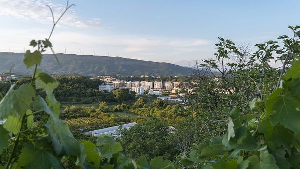 Pse heshtin partitë politike për arsimin shqip në Mal të Zi?
