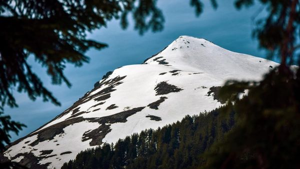 Operacioni "Shigjeta": thyerja e kufirit në Pashtrik dhe heshtja në Prishtinë