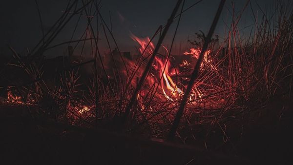 Çfarë po digjet pranë park-pyllit Gazi Babë në Shkup?