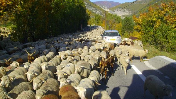Çfarë ofron skema e re kombëtare për mbi 32 mijë fermerë që aplikuan?