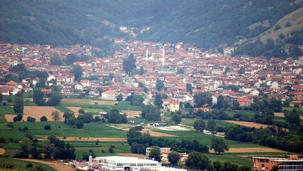 Si konsolidoi Aleanca për Shqiptarët strukturat në Bogovinë?