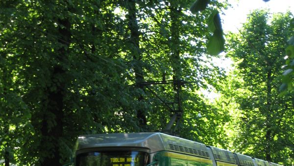 Si ka ndikuar 'Qyteti i Sigurt' në uljen e aksidenteve të trafikut?